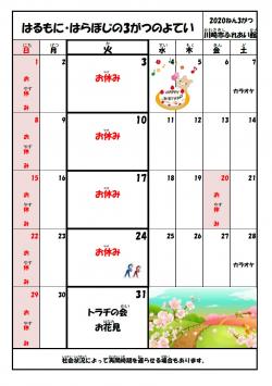 最近の活動から写真1